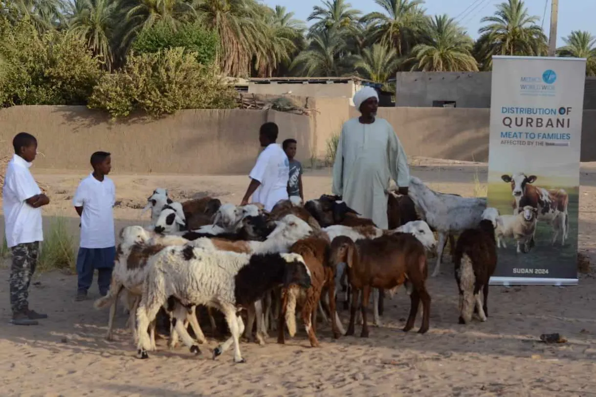 مشروع أضاحي السودان 1446 هـ - 2025م